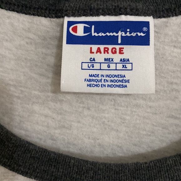 CHAMPION Men’s Tri Color T Shirt Size L - Picture 3 of 5